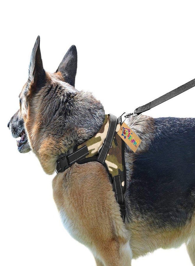 Western Era Vest Adjustable Padded Dog Sport Harness with Extra Confortable (Small Dogs) (Extra Large - XL) - Image 3